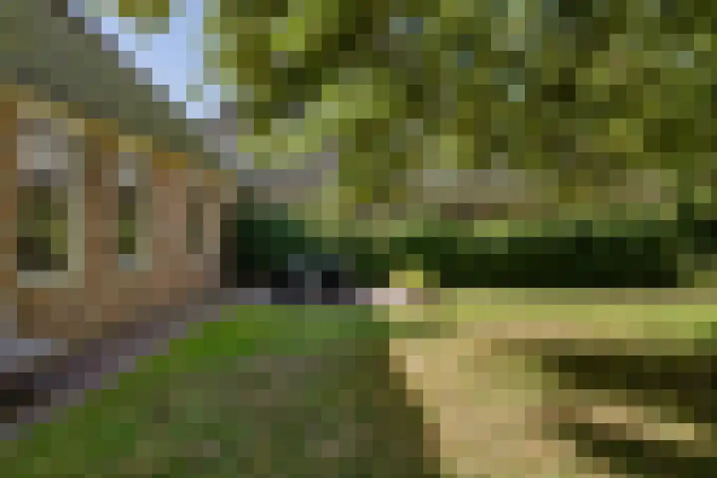 Dorpsweg 81 Twisk thumbnail 34
