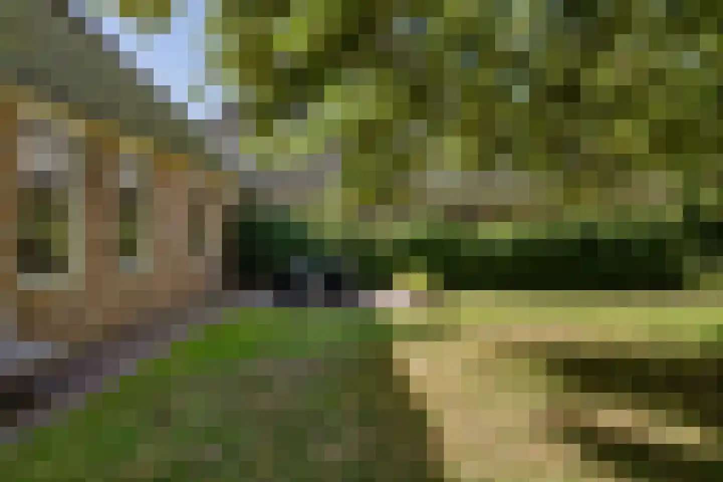 Dorpsweg 81 Twisk thumbnail 34
