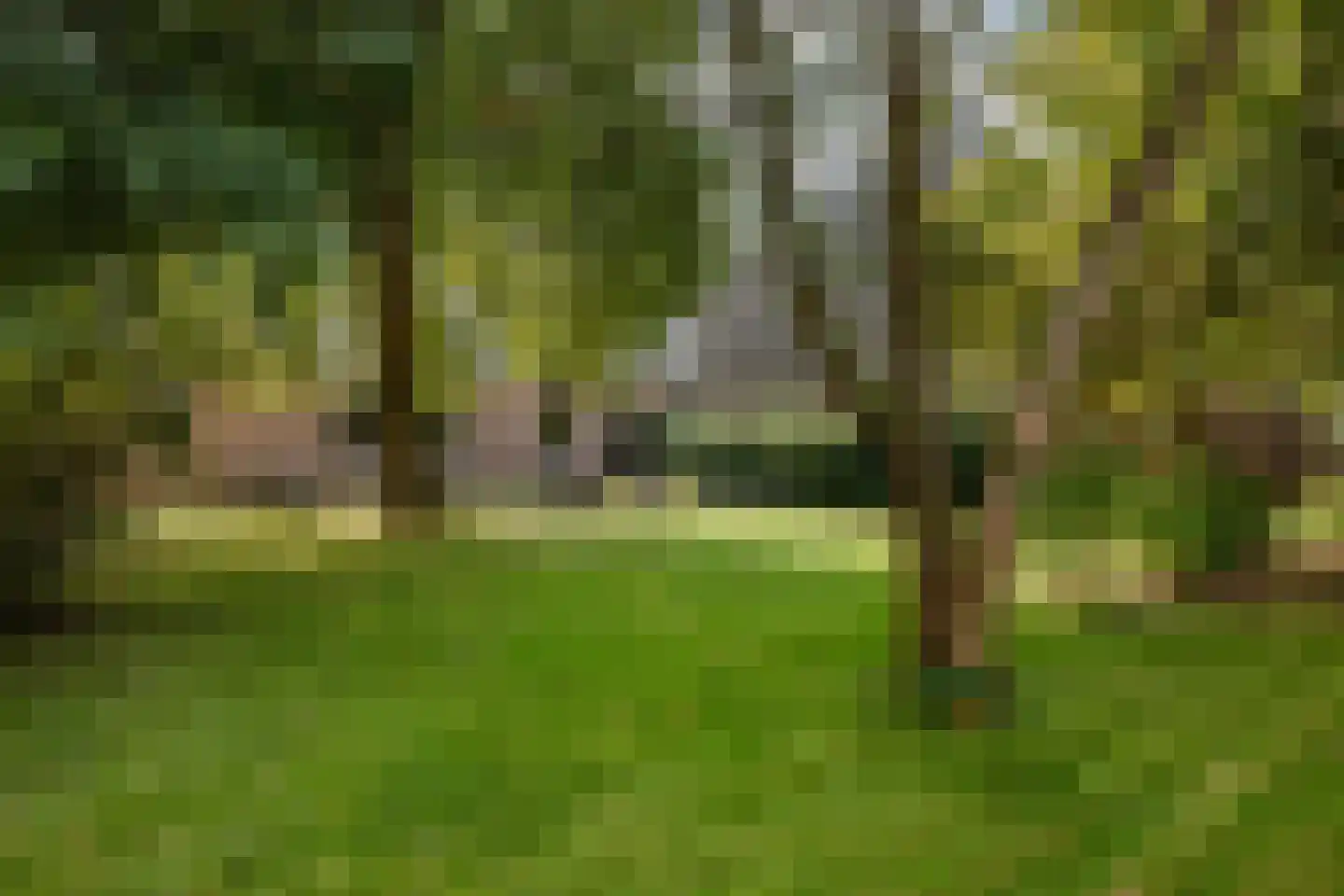 Dorpsweg 81 Twisk thumbnail 35