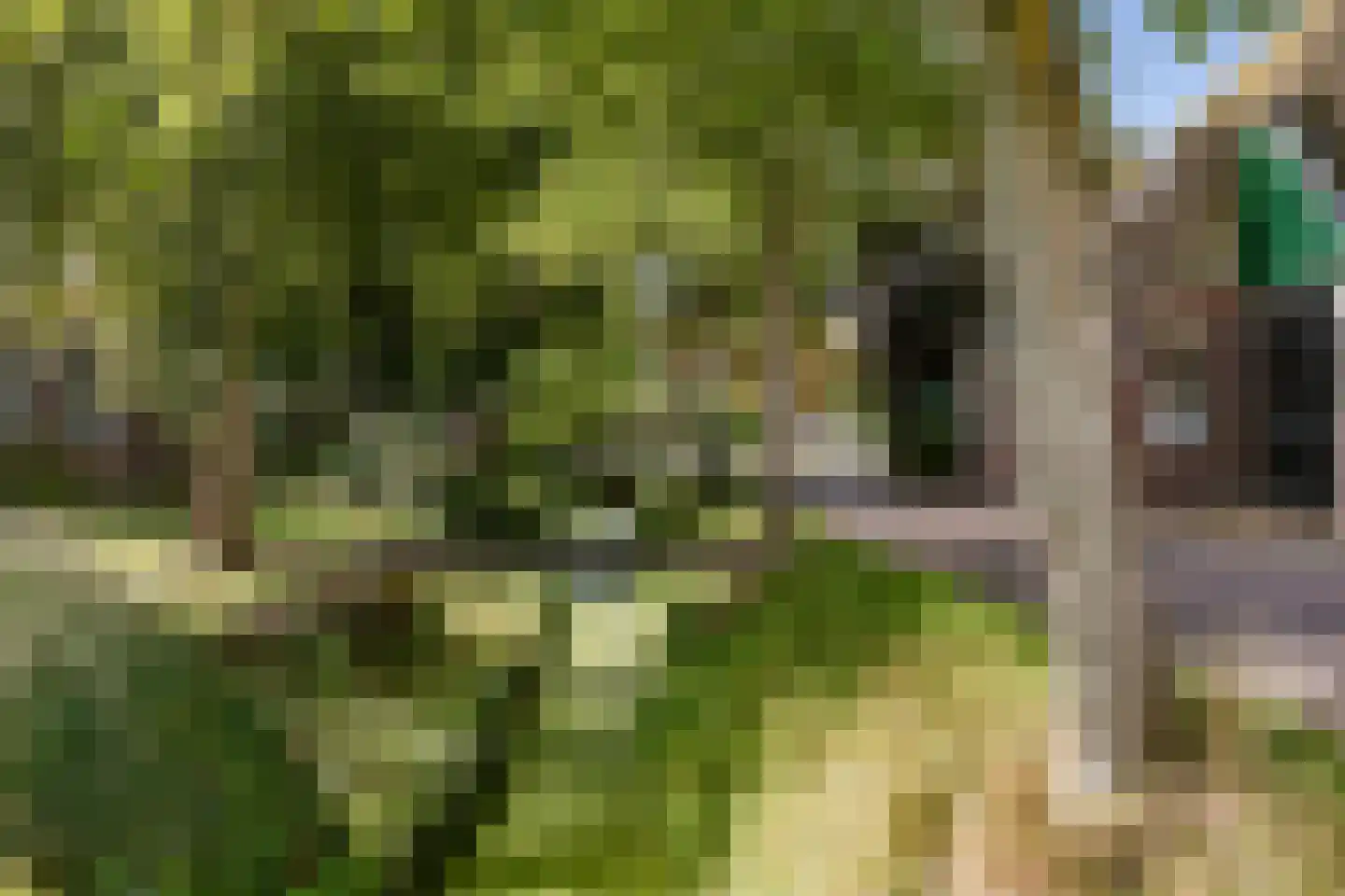 Dorpsweg 81 Twisk thumbnail 36