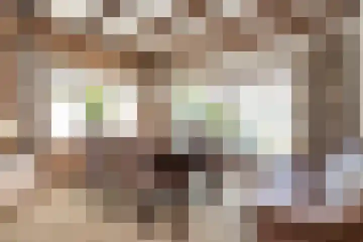 Dorpsweg 83 Sommelsdijk thumbnail 10