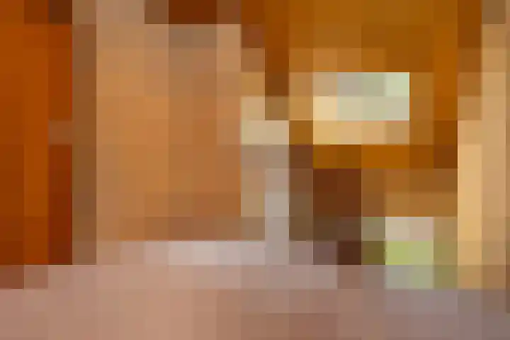 Dorpsweg 83 Sommelsdijk thumbnail 15