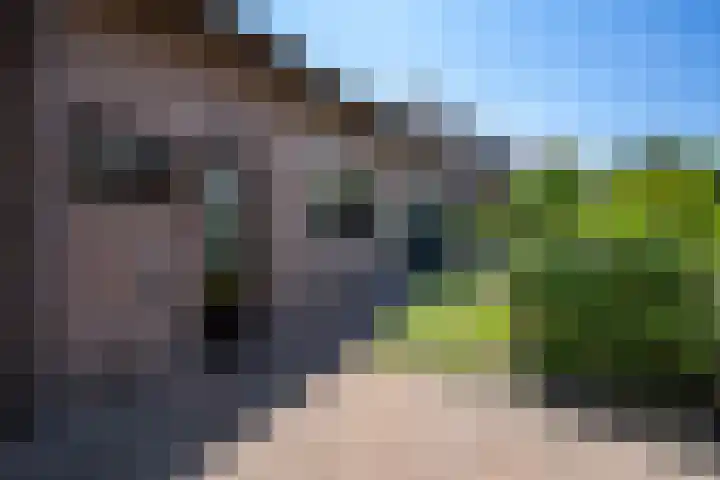 Dorpsweg 83 Sommelsdijk thumbnail 21