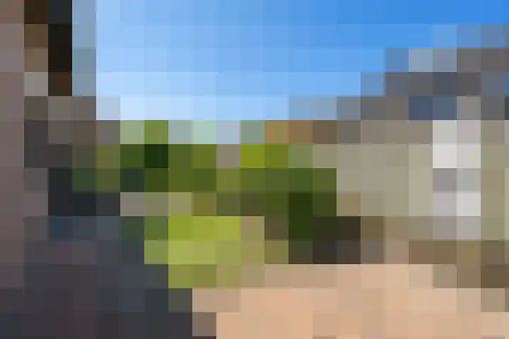 Dorpsweg 83 Sommelsdijk thumbnail 22