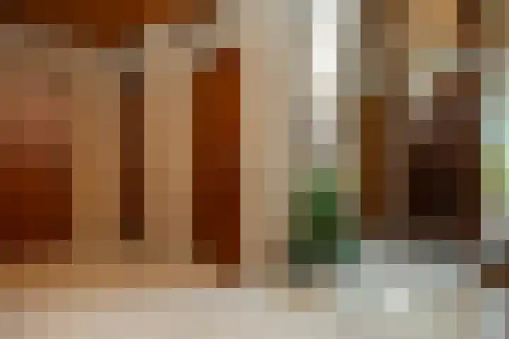 Dorpsweg 83 Sommelsdijk thumbnail 6