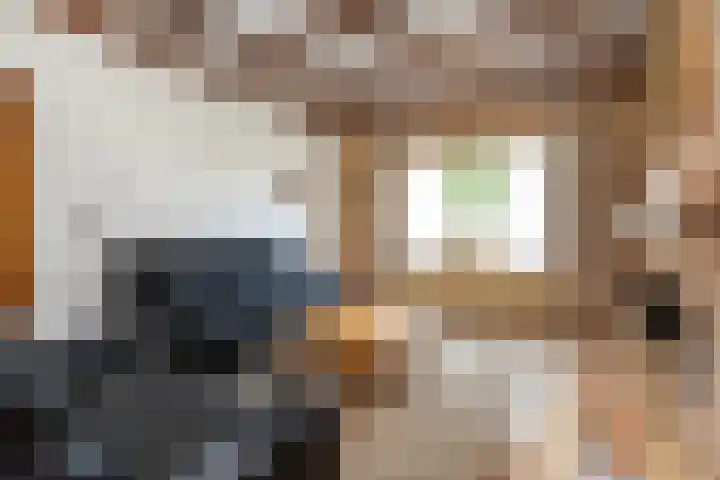 Dorpsweg 83 Sommelsdijk thumbnail 8