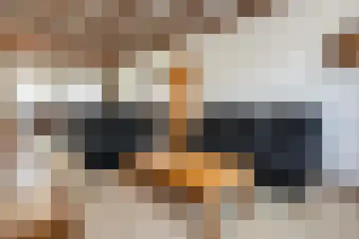 Dorpsweg 83 Sommelsdijk thumbnail 9