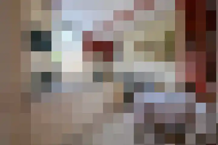 Dorpsweg 83 Twisk thumbnail 13