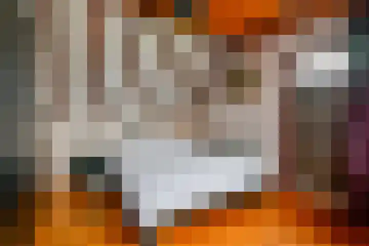 Dorpsweg 83 Twisk thumbnail 19