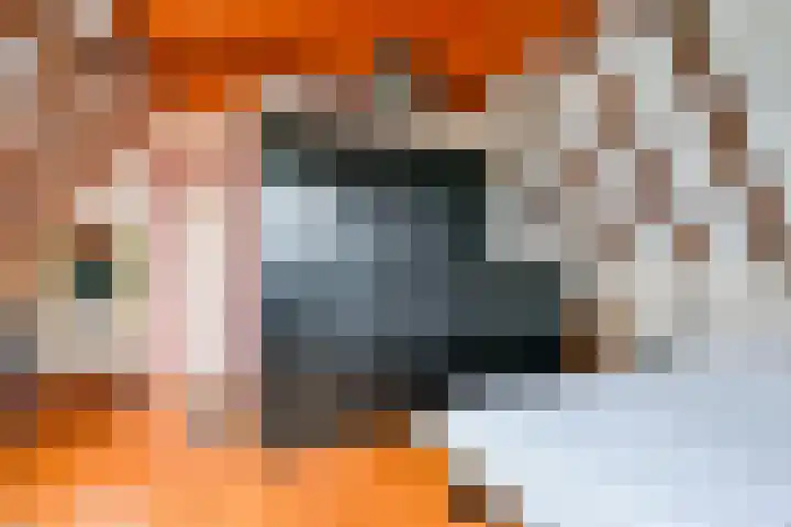 Dorpsweg 83 Twisk thumbnail 20