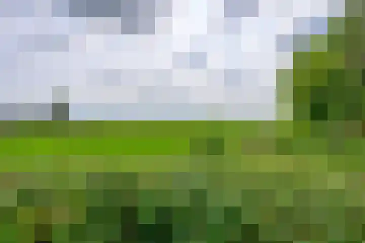 Dorpsweg 83 Twisk thumbnail 27