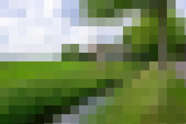 Dorpsweg 83 Twisk thumbnail 33