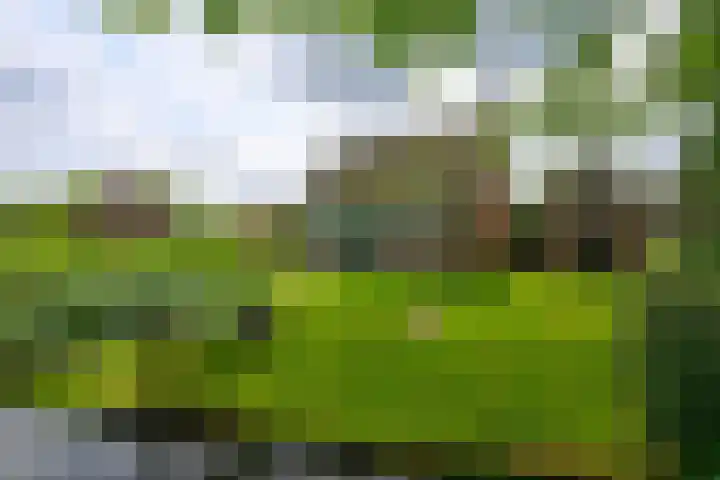 Dorpsweg 83 Twisk thumbnail 34