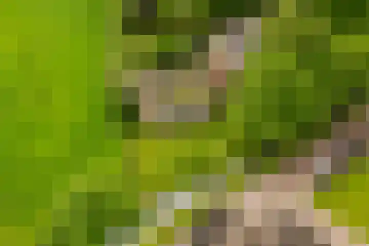 Dorpsweg 83 Twisk thumbnail 35