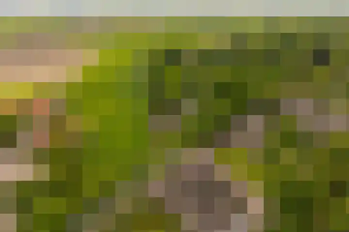Dorpsweg 83 Twisk thumbnail 36