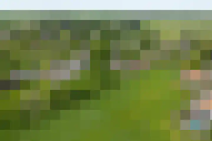Dorpsweg 83 Twisk thumbnail 38