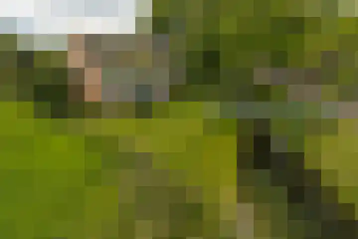 Dorpsweg 83 Twisk thumbnail 39