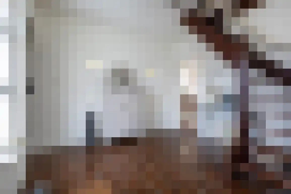 Dorpsweg 85 Sommelsdijk thumbnail 10