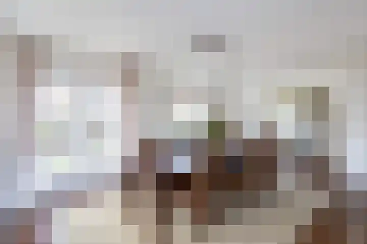 Dorpsweg 85 Sommelsdijk thumbnail 17