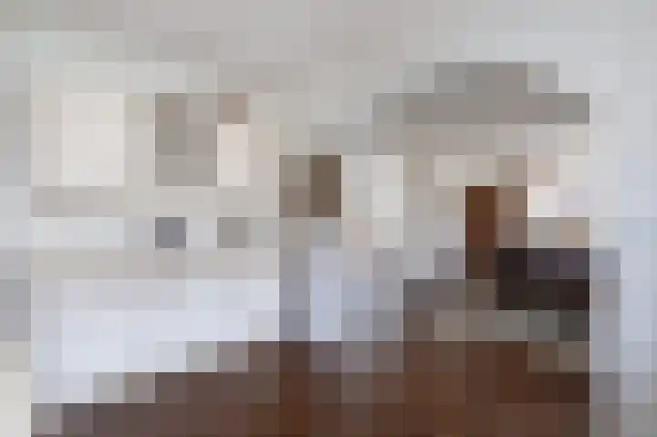 Dorpsweg 85 Sommelsdijk thumbnail 18