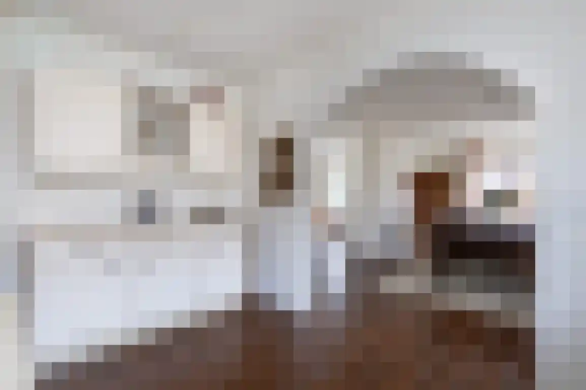 Dorpsweg 85 Sommelsdijk thumbnail 18