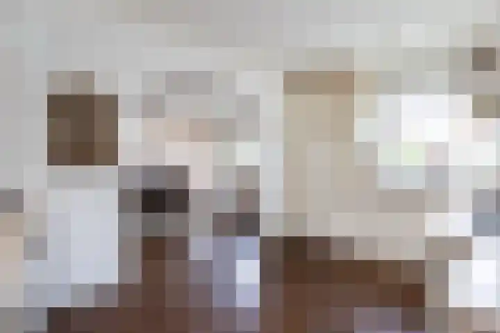 Dorpsweg 85 Sommelsdijk thumbnail 19