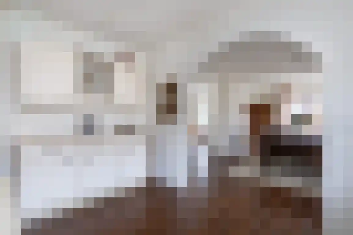 Dorpsweg 85 Sommelsdijk thumbnail 19