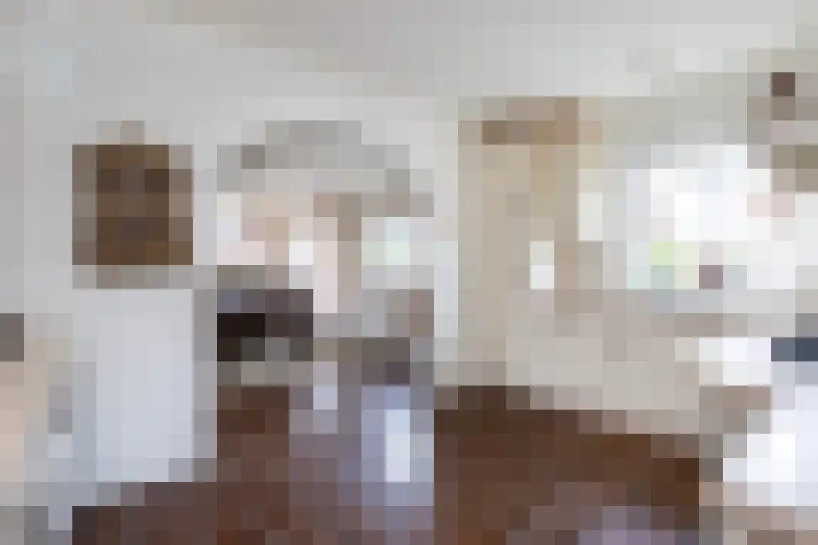 Dorpsweg 85 Sommelsdijk thumbnail 20
