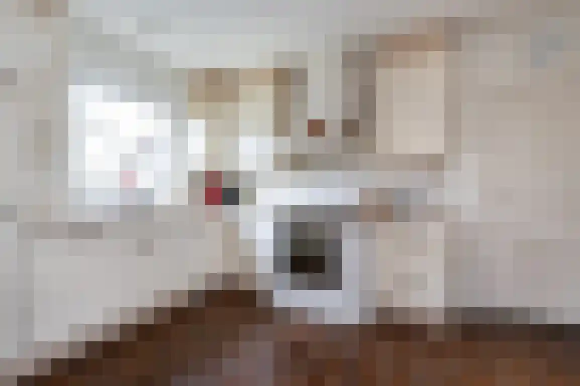 Dorpsweg 85 Sommelsdijk thumbnail 21
