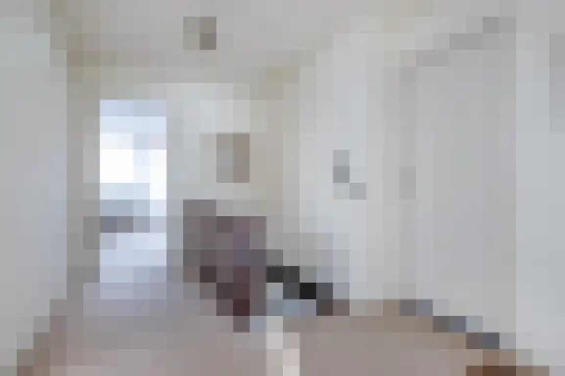 Dorpsweg 85 Sommelsdijk thumbnail 22