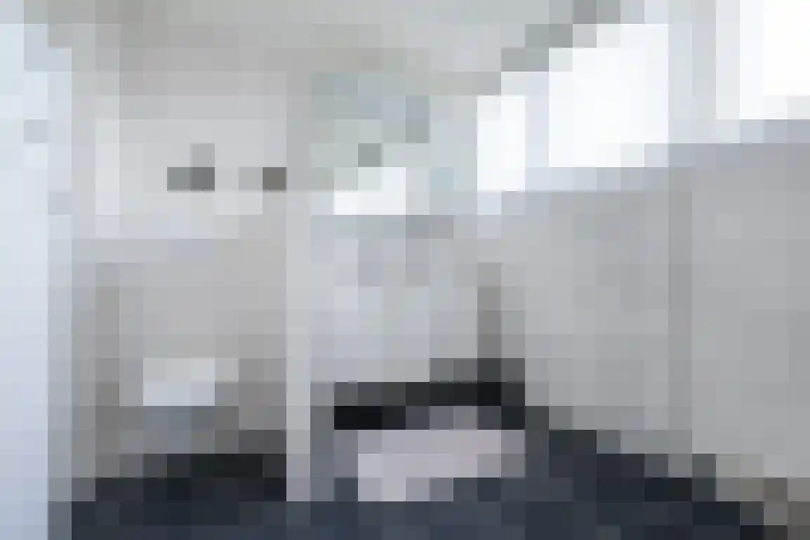 Dorpsweg 85 Sommelsdijk thumbnail 32