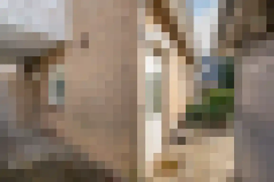 Dorpsweg 85 Sommelsdijk thumbnail 35