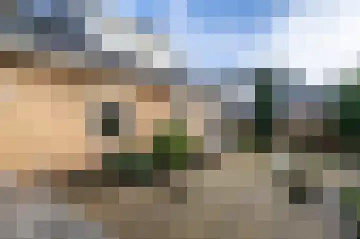 Dorpsweg 85 Sommelsdijk thumbnail 35