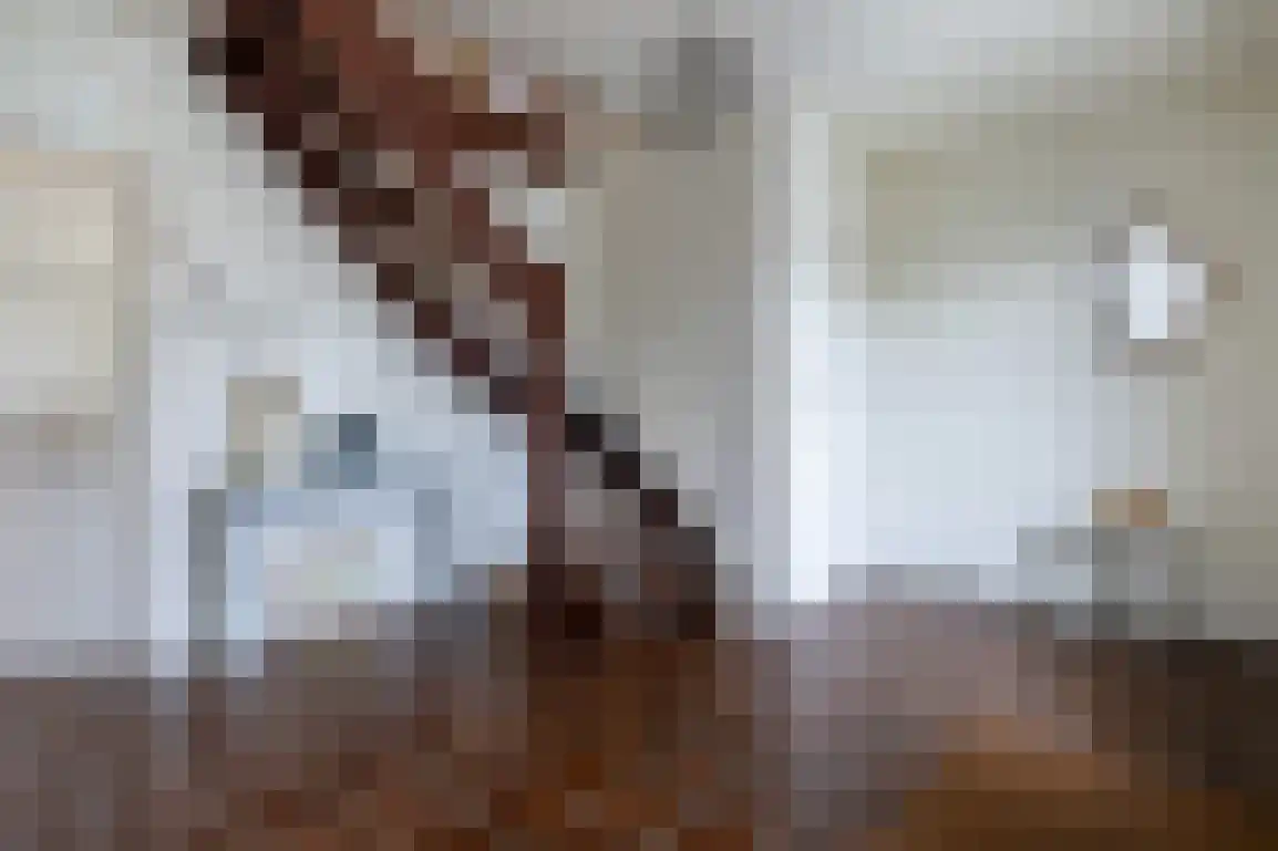 Dorpsweg 85 Sommelsdijk thumbnail 9