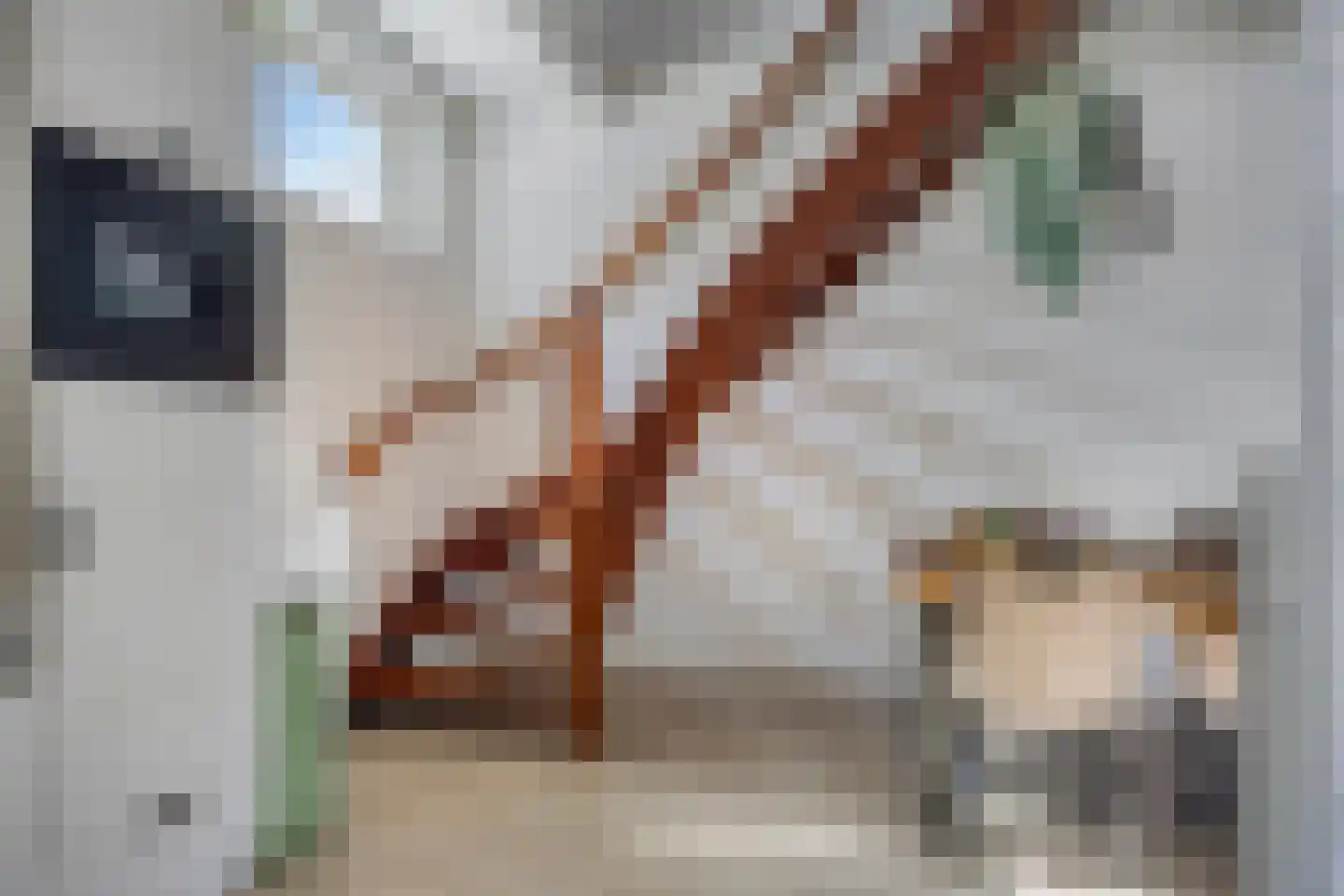Dorpsweg 88 IJsselmuiden thumbnail 16