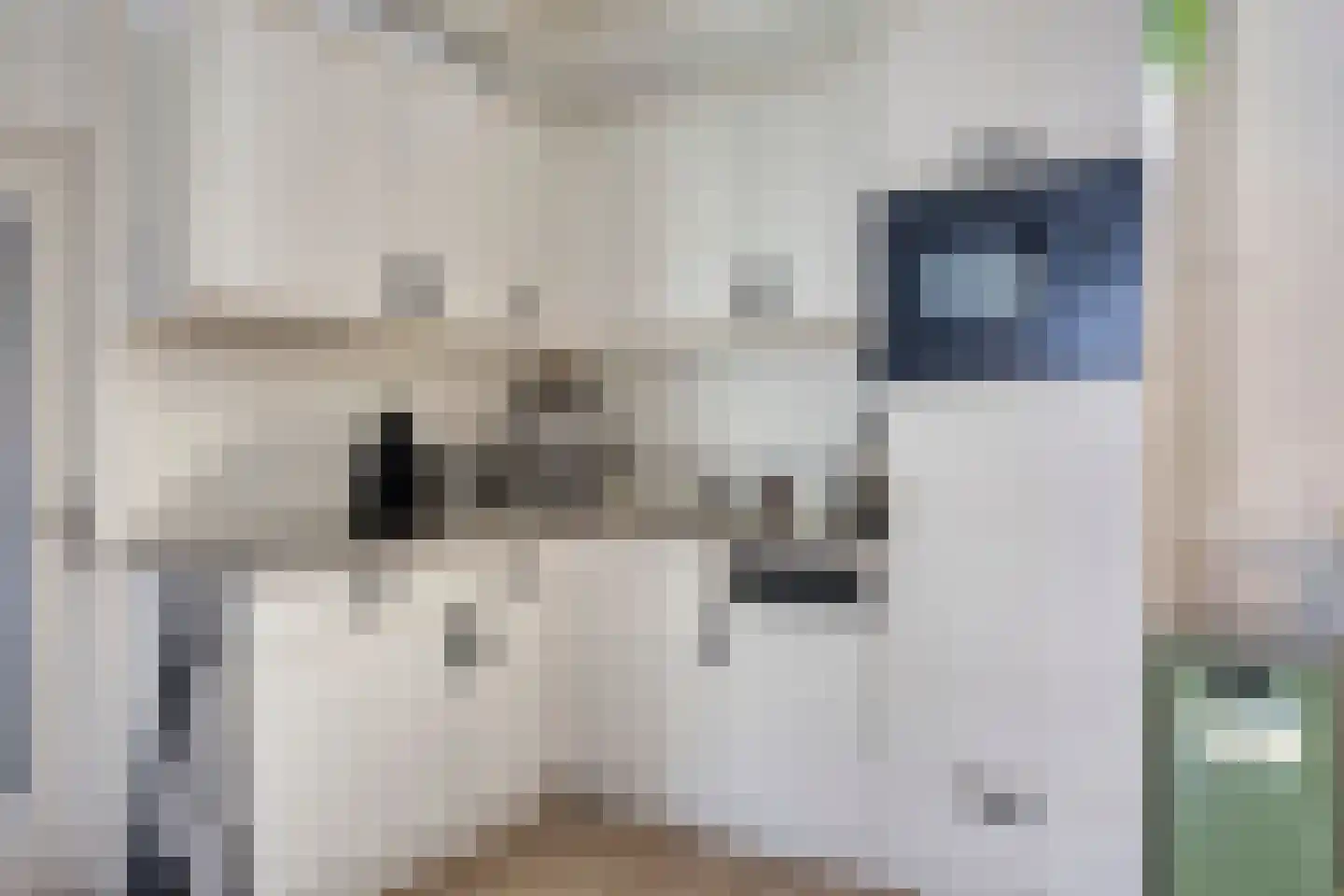 Dorpsweg 88 IJsselmuiden thumbnail 17