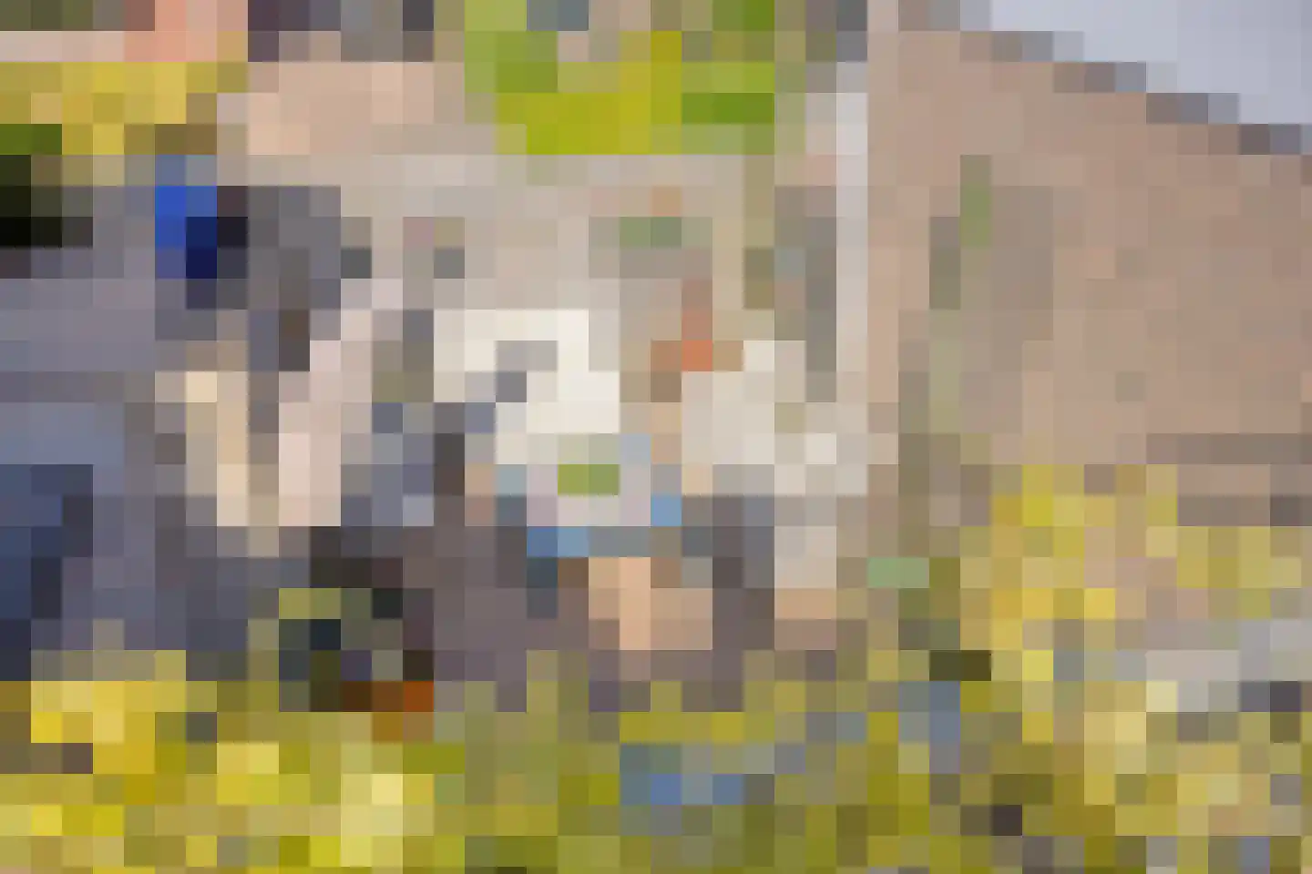 Dorpsweg 88 IJsselmuiden thumbnail 30