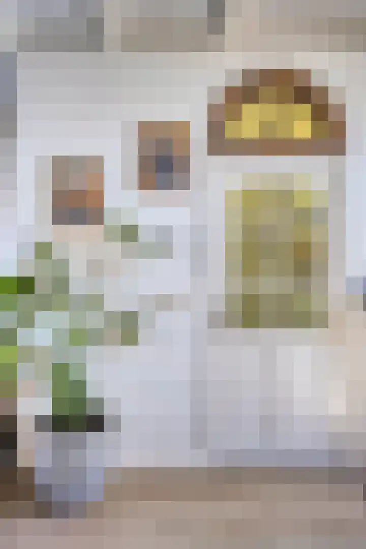 Dorpsweg 88 IJsselmuiden thumbnail 8