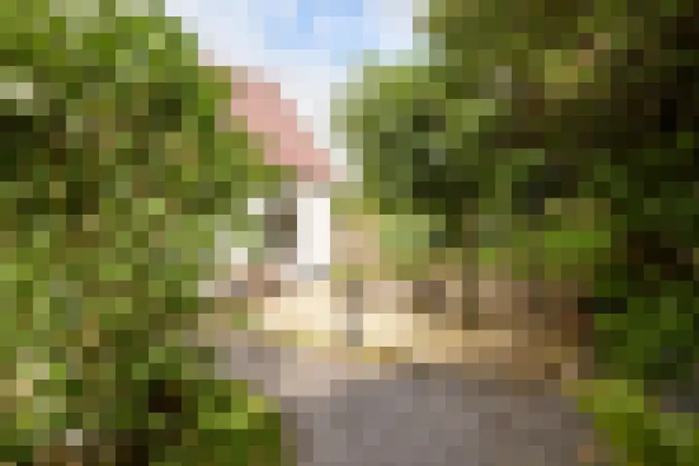 Dorpsweg 89 Oudendijk thumbnail 10