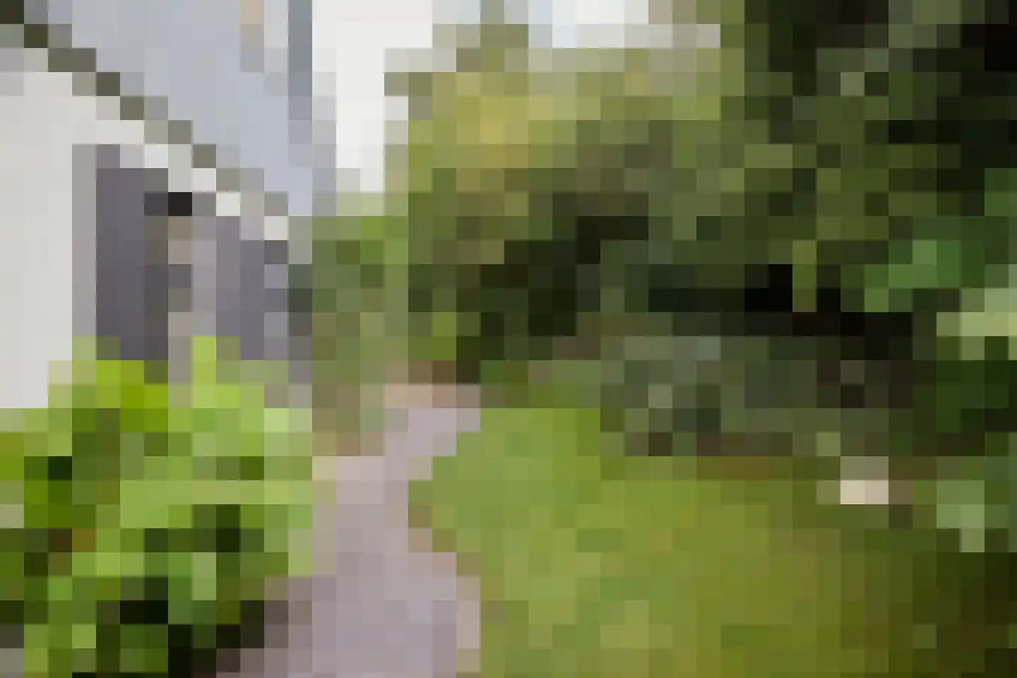 Dorpsweg 89 Oudendijk thumbnail 11