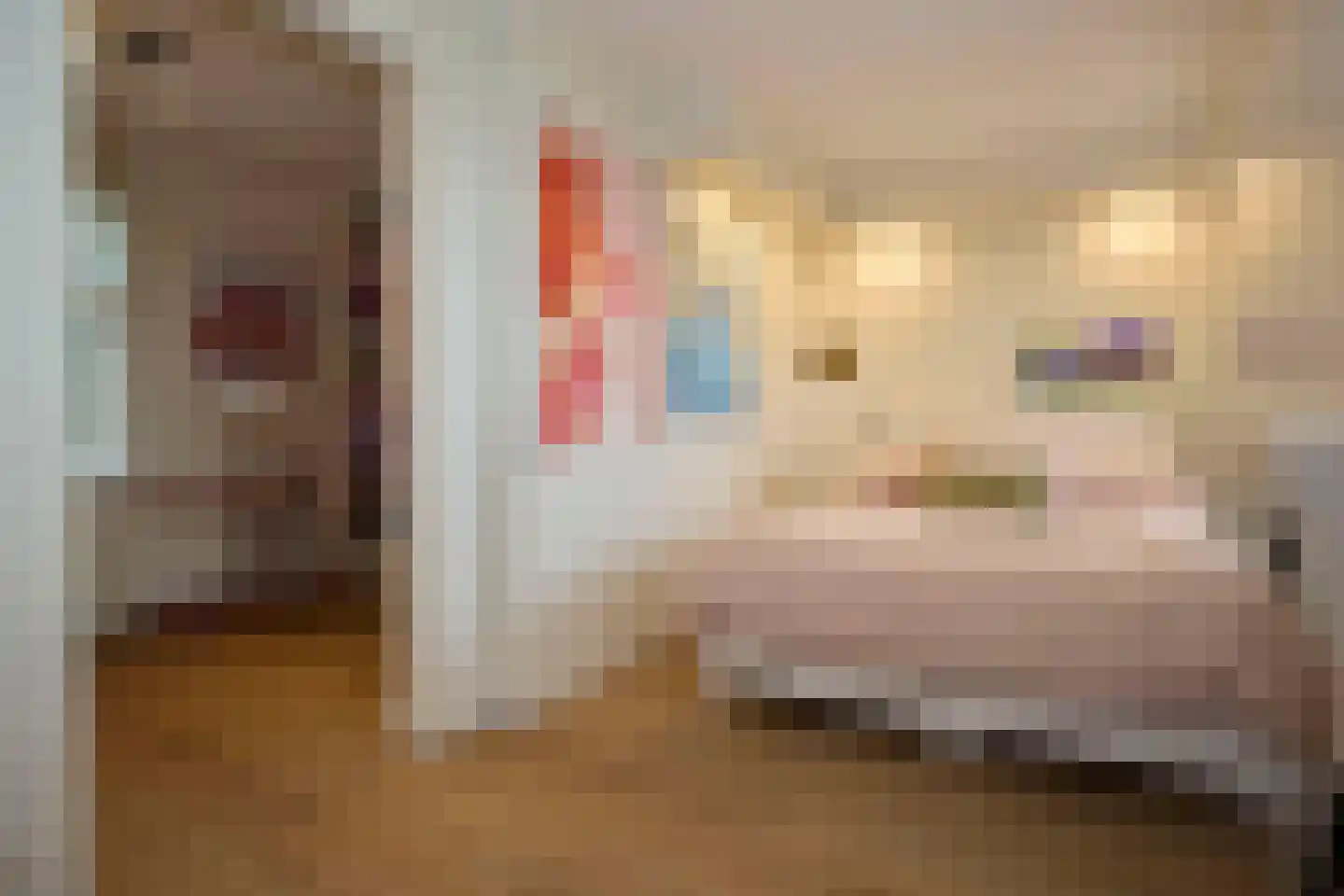 Dorpsweg 89 Oudendijk thumbnail 27