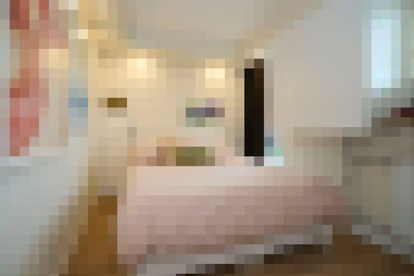 Dorpsweg 89 Oudendijk thumbnail 28
