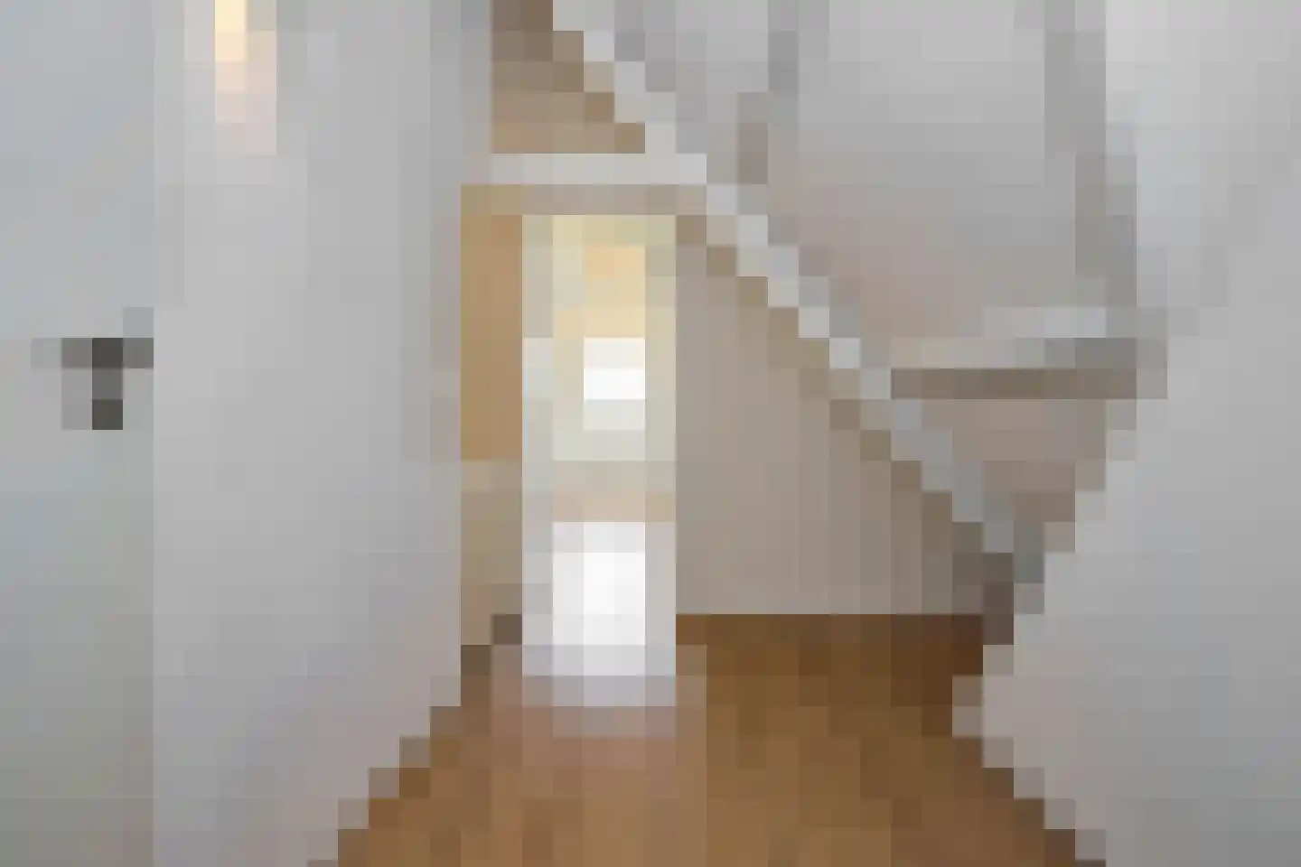 Dorpsweg 89 Oudendijk thumbnail 33