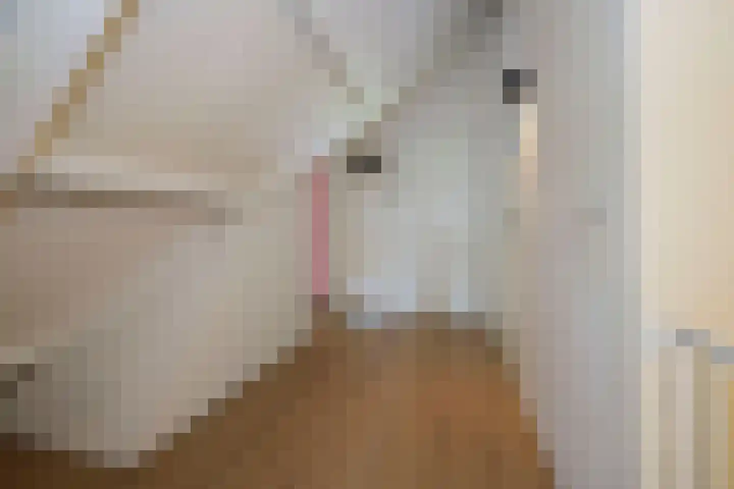Dorpsweg 89 Oudendijk thumbnail 34