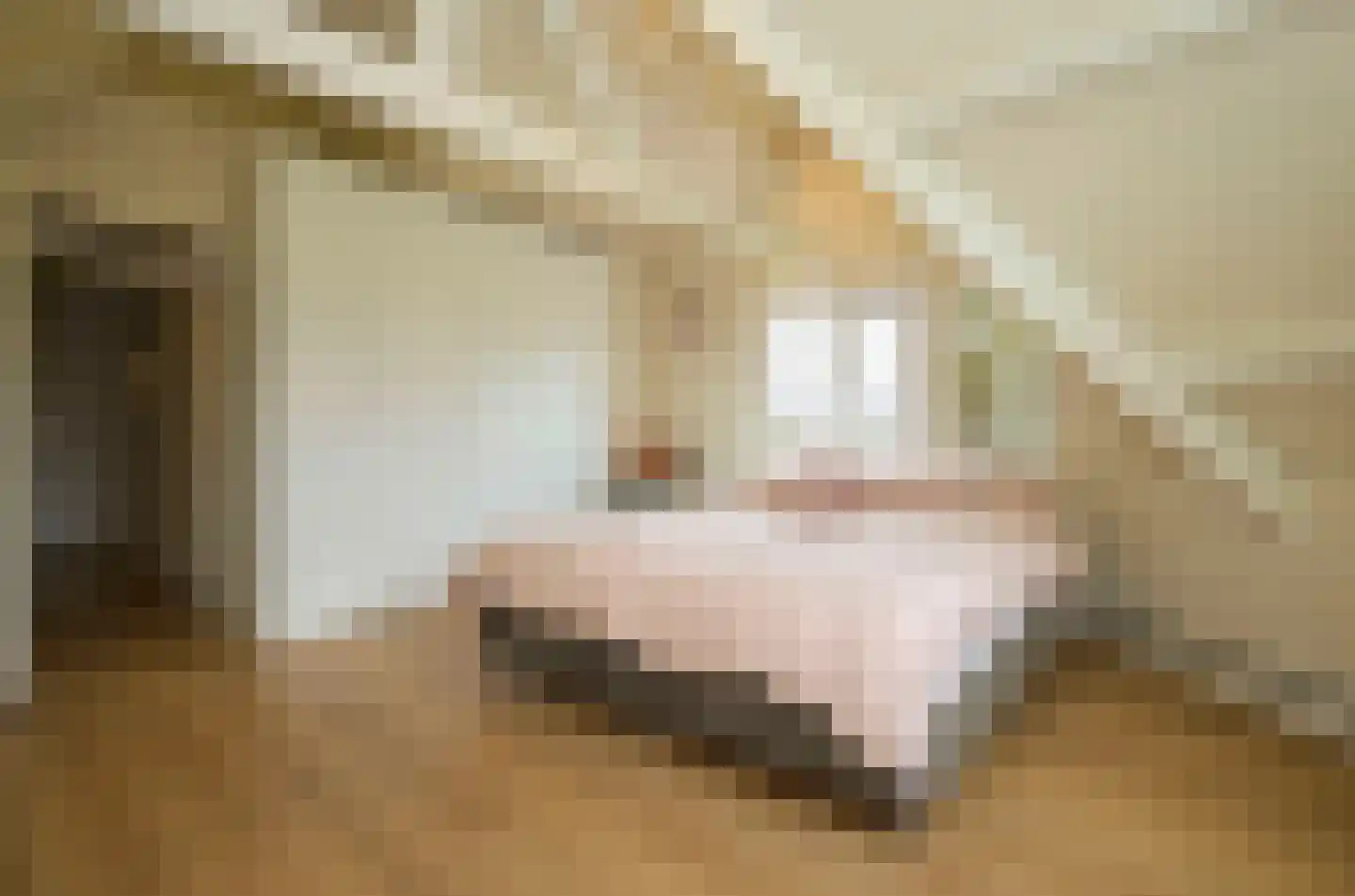 Dorpsweg 89 Oudendijk thumbnail 36