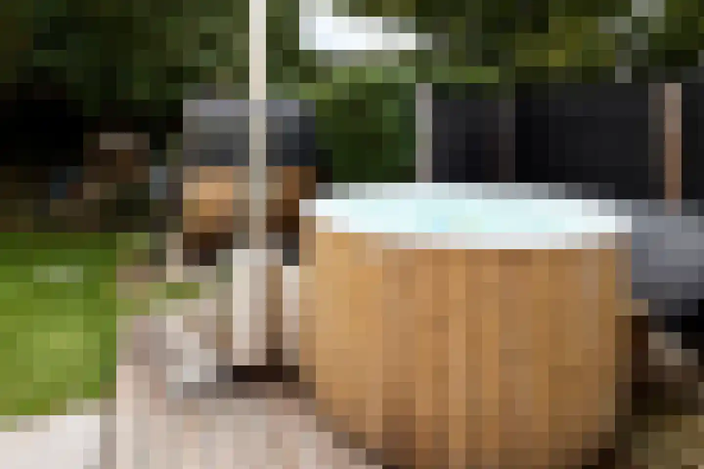 Dorpsweg 89 Oudendijk thumbnail 52