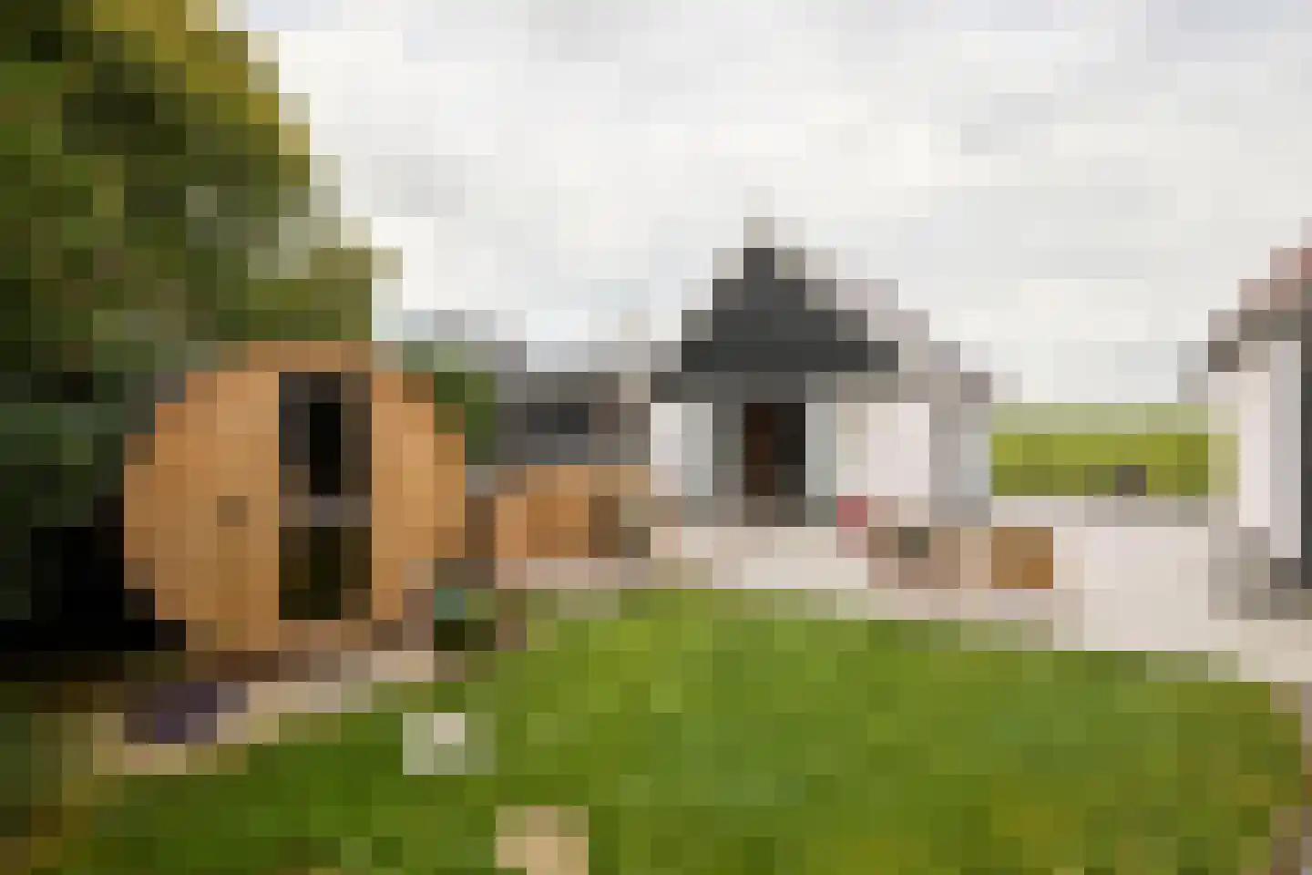 Dorpsweg 89 Oudendijk thumbnail 54
