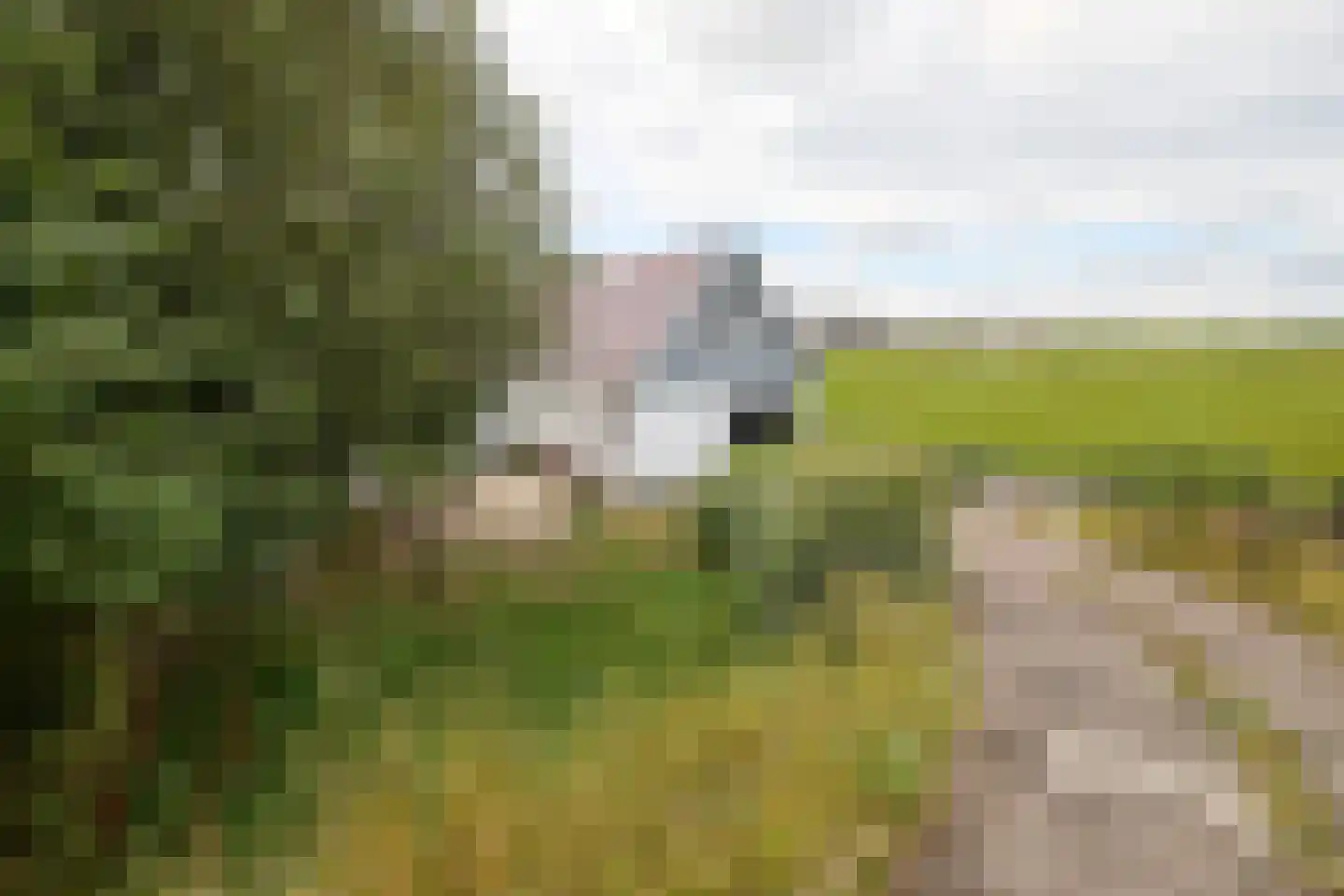 Dorpsweg 89 Oudendijk thumbnail 61