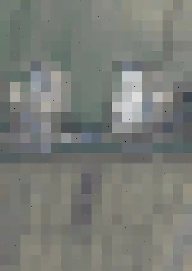 Dorpsweg 89 Oudendijk thumbnail 68