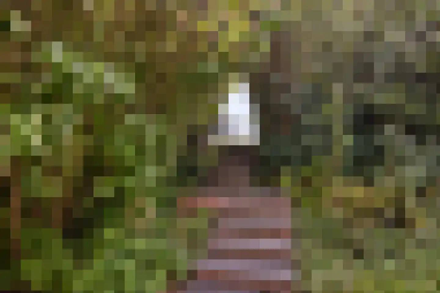 Dorpsweg 89 Oudendijk thumbnail 9